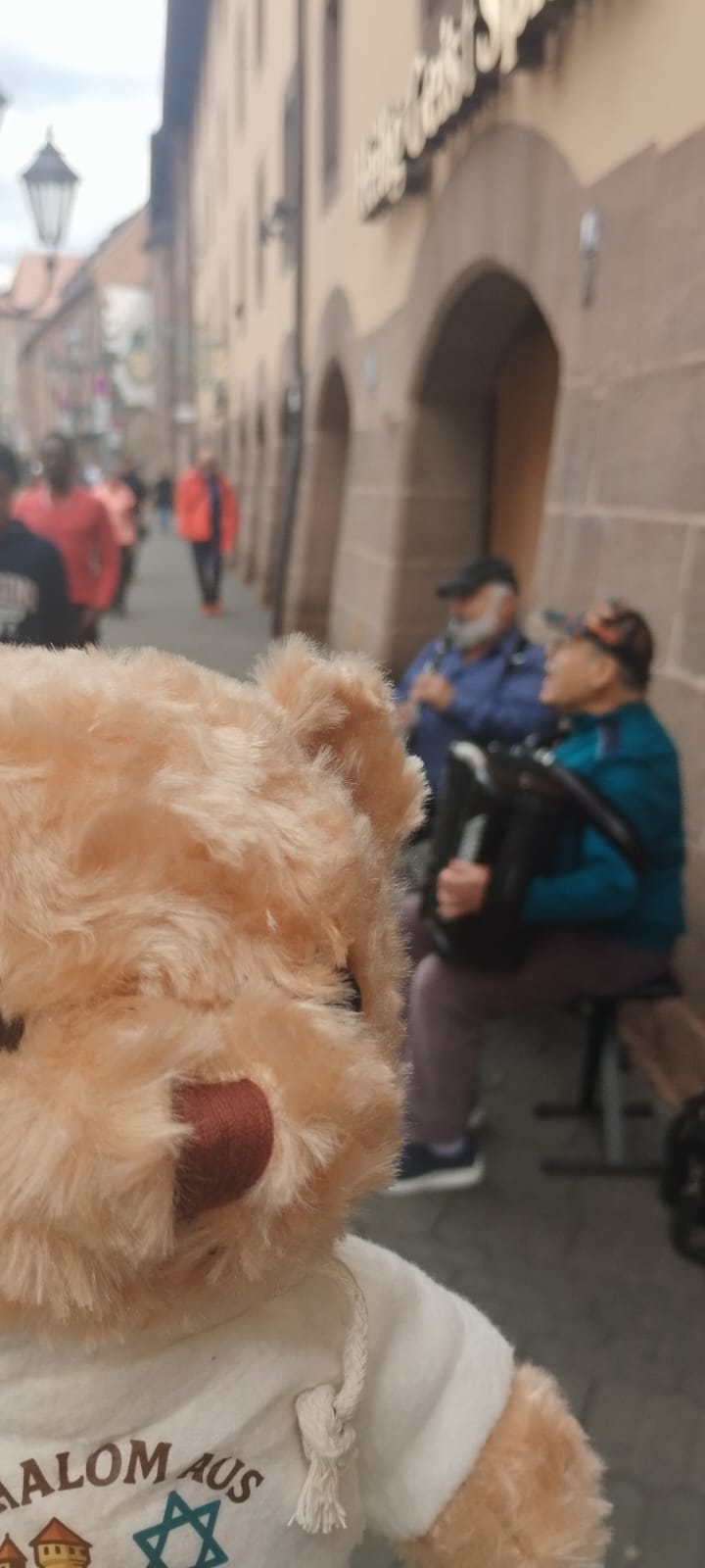 🎶 Musik in den Ohren – und im Bärenherz! 🎻