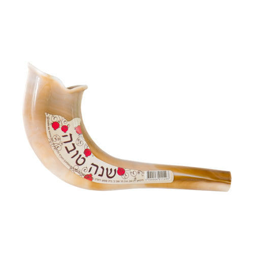 Small Plastic Shofar 18 Zm
